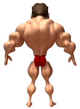 Body building