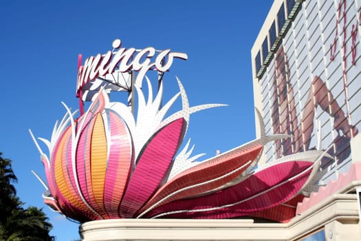 Flamingo