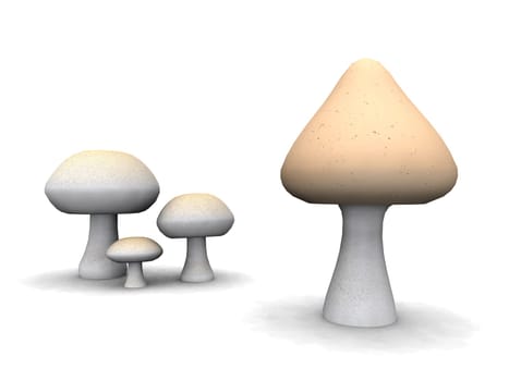 Fungi