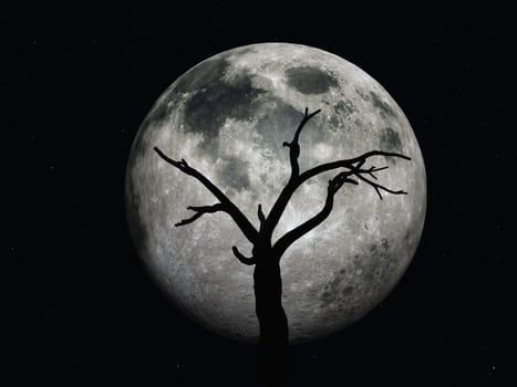 Desert Tree with Moon
