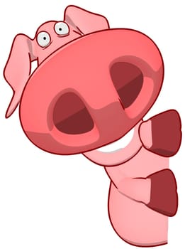 Pig