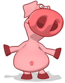 Pig