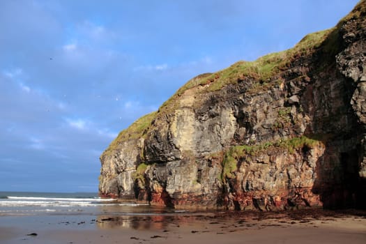 a view of the beach cliffs in ballybunion co kerry ireland with abundance of seaweed after a storm
