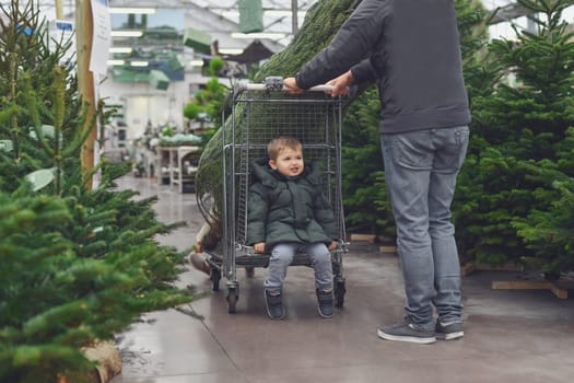 Father and son choose a Christmas tree in the market.