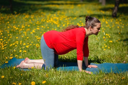 Pregnancy yoga exercise - pregnant woman doing asana Bitilasana cow pose outdoors on grass lawn with dandelions in summer