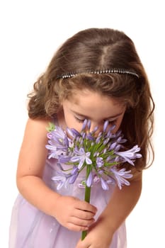 A small girl wearing a mauve dress sniffing a large agapanthus flower head.  Agapanthus comes from the Greek words agape for love and anthos for flower.