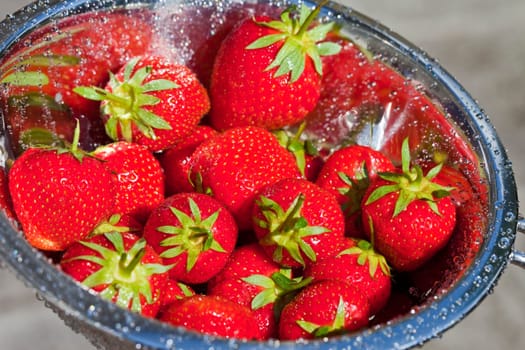 fresh strawberries
