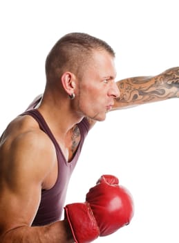Young muscular man boxing  isolated on white background
