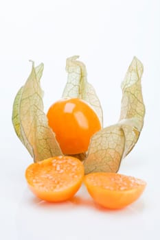 Physalis