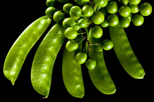 green food