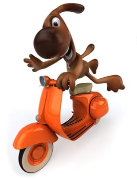 Dog