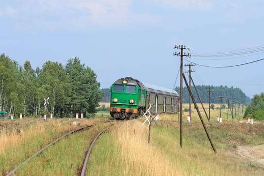 Passenger train passing through the forest