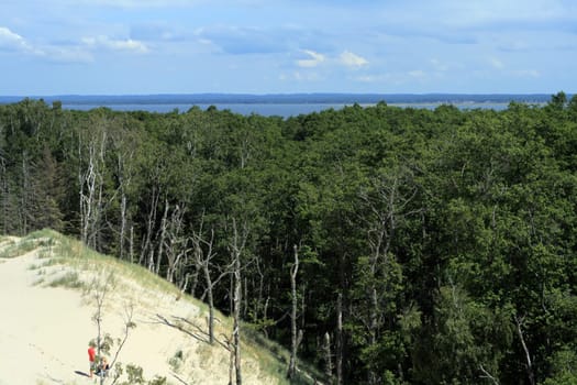 Moving sand dunes forcing the forest to fall down at leba - poland