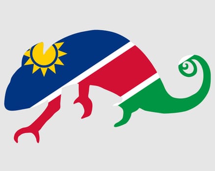 Namibia Chameleon