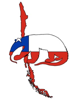 Anteater Chile