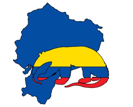 Anteater Ecuador