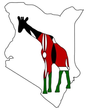 Kenya Giraffe