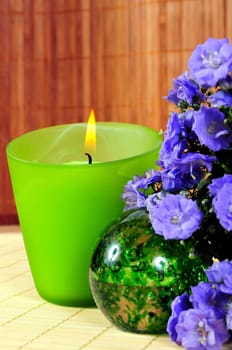 Wellness Candle Green Spa Cosmetics