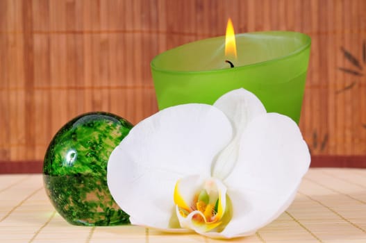 Wellness Candle Green Spa Cosmetics