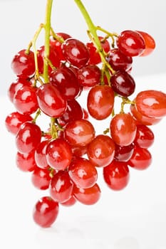 fresh grapes