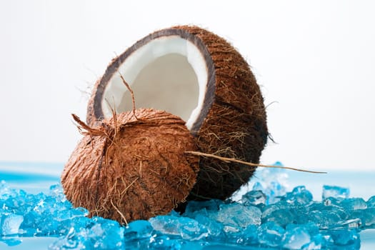Coconut