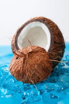Coconut