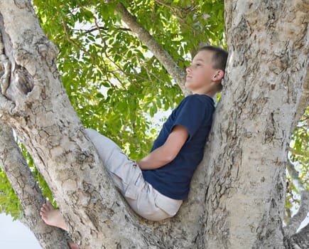 boy in a tree looking thoughtful or bored