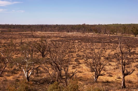 landscape image of a hard ry land in the drought