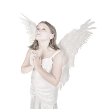 high key little angel fairy girl praying