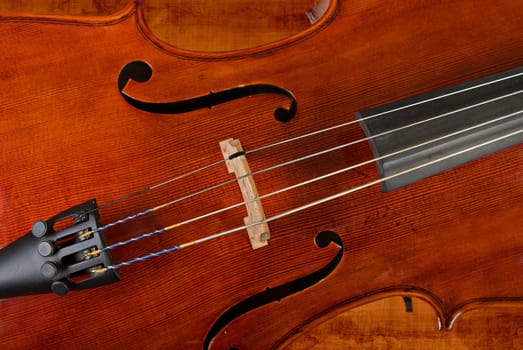 great image of a cello or violin