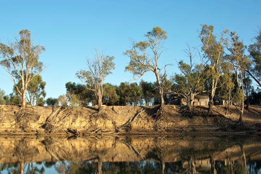 an old wooden house amongst the trees on the river murray