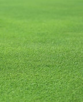 the finely manicured green grass or turf from a golf hole green
