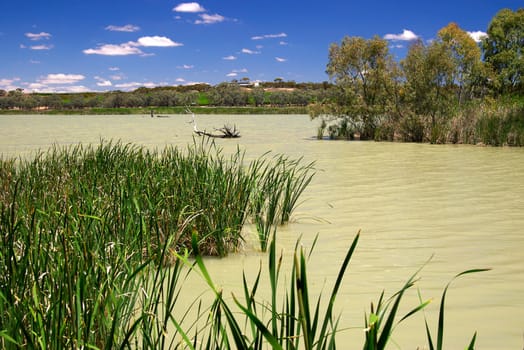 the wetlands on the murray at banrock station