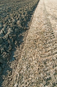 freshly ploughed field