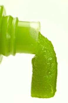 Wasabi
