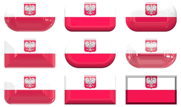nine glass buttons of the  Flag of Poland