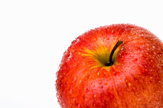 apple,red,white,clipping,symbolic image,diet,healthy eating,food,slimming,freshness,vitamins,fruit,water droplets,crunchy,close up