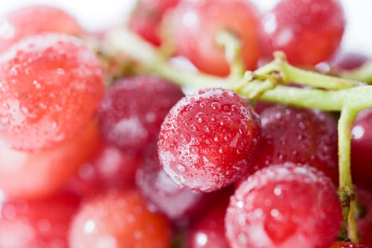 Grapes