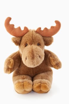 Moose Stuffed Toy