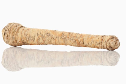 Horseradish