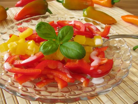 Raw vegetable salad with peppers