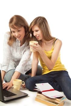 Two young pretty blond women working with laptop computer