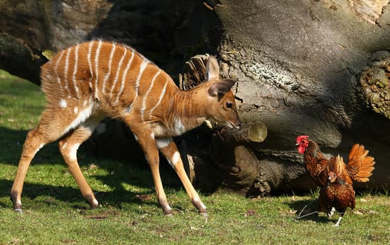 exciting encounter