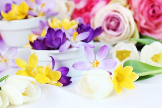 Easter detail with crocus flowers or spring motive