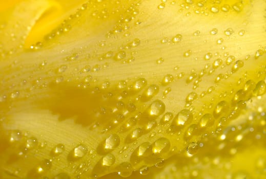 Waterdrop