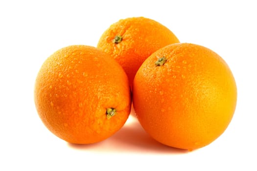 Three oranges isolated against white background