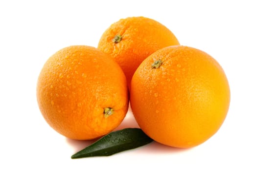 Three oranges isolated against white background