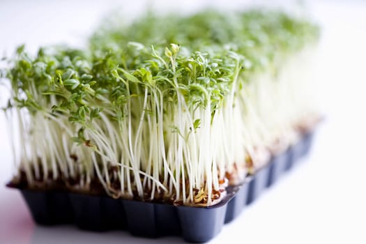 Organic cress