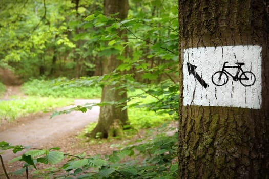 Bicycle path through the park, the sign on the tree