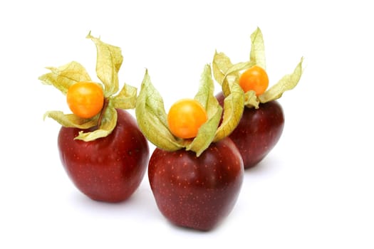 Physalis and fresh red apples isolated on white